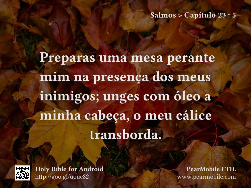 Salmos, Capítulo 23:5